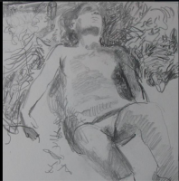 dessin cm 20x20   2015