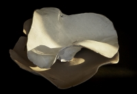 fired ceramic- glased-cm 45x58: