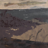 cm 60x60 oil on canvas 2004